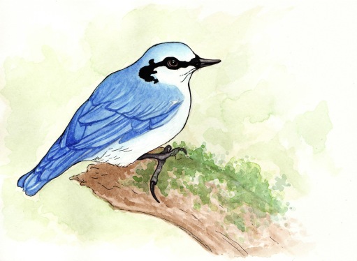 Blå fugl.jpg